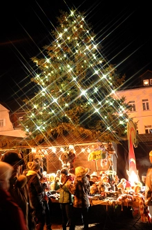 Weihnachtsbaum © Foto: F. Schmidt